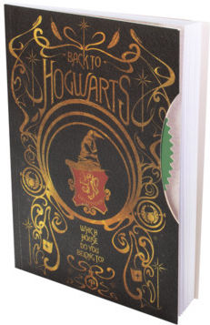 Bluesky Harry Potter Παιδικό Σημειωματάριο A5 80 Φύλλων Ριγέ Πολύχρωμο