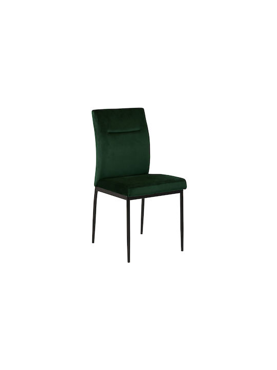 Stühle Speisesaal Grün 1Stück 55x45x90.5cm