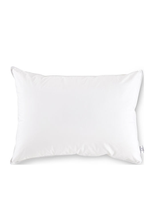 Aigaion Anatomisches Mikrofaser Kopfkissen 51x66cm