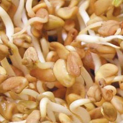 Geo Bavicchi Σπόροι Βιολογικής Καλλιέργειας 200gr