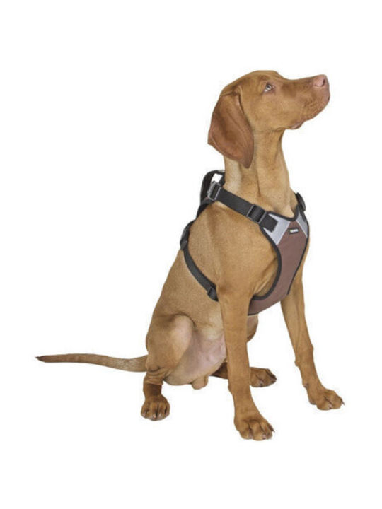 Kerbl Hundegeschirr Braun Klein 81019