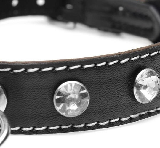 Strict Leather Collar in Black Color