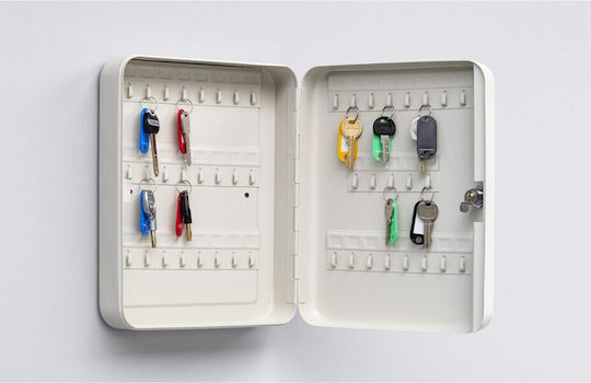 Thirard Wall Key Hook Metallic 45 Hooks With Lock 300x75cm