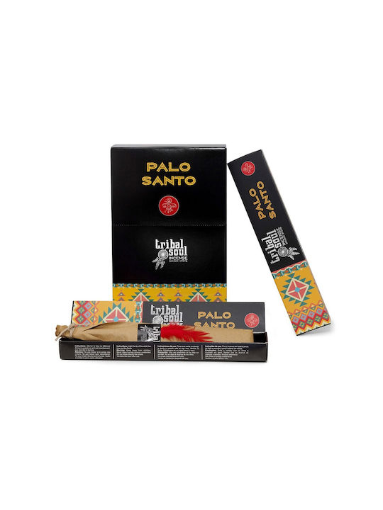 Αρωματικά Sticks 3082001 15gr