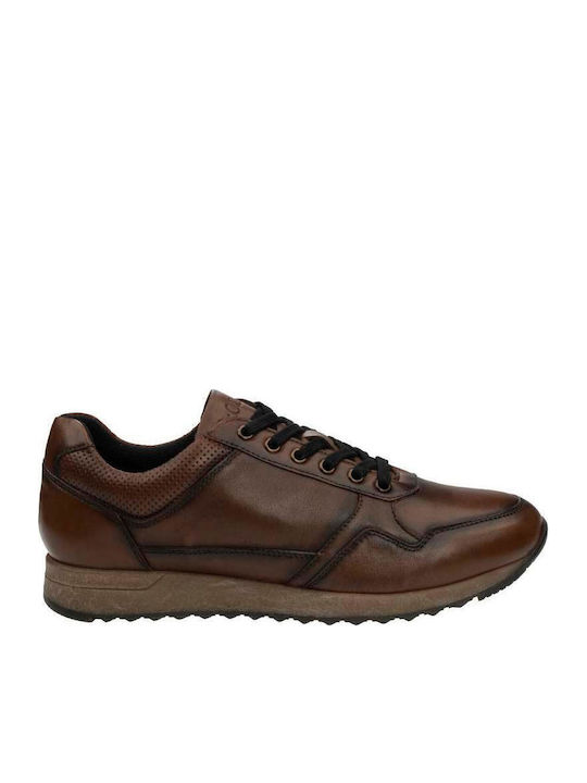 Sneakers Tabac Brown