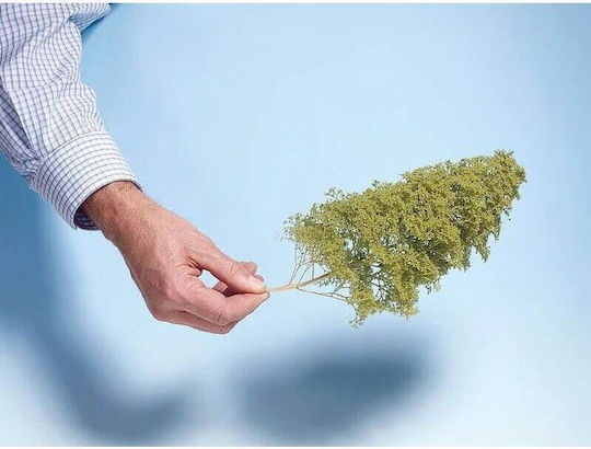 Noch Planta Machetă