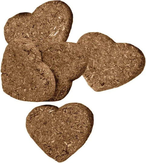 Oxbow Behandelt für Hase Organic 75gr 1Stück