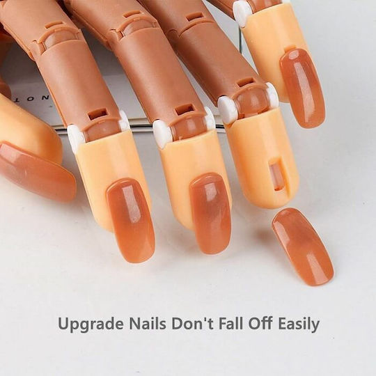 Educational Hand for Spa and Beauty