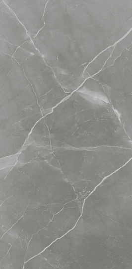 Winasa Ceramica Placă Porțelanat Lucios 120x60cm Gri