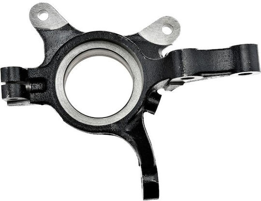 NTY Achsschenkel für Fiat Sechzehn suzuki SX4 ZZP-SU-005