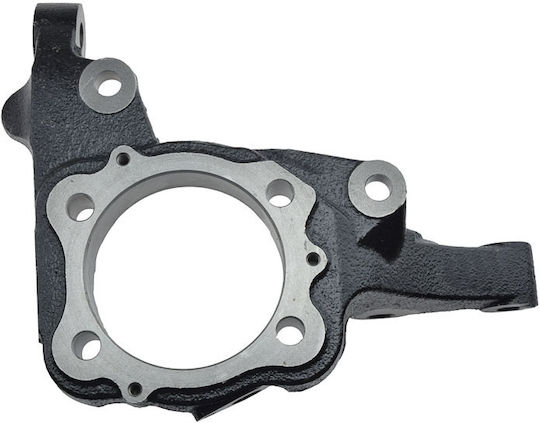 NTY Steering Knuckle for Hyundai ix55 / Santa Fe ZZP-HY-509