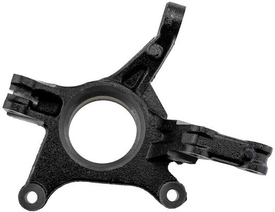 NTY Achsschenkel für Renault Erfassen ZZP-RE-018