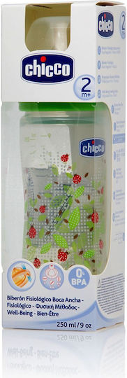 Chicco Plastic Baby Bottle Well Being Anti-Colic with Rubber Nipple for 3+ months Green Ladybugs - Green 250ml