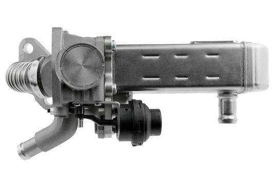NTY Ψυγείο EGR Αυτοκινήτου για Nissan Cabstar / NP300 / Navara / PickUp / Pathfinder