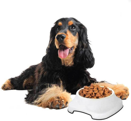 Pet Plast Art Пластмаса Купа Храна & Вода за Куче & Котка 2lt в Бял Цвят