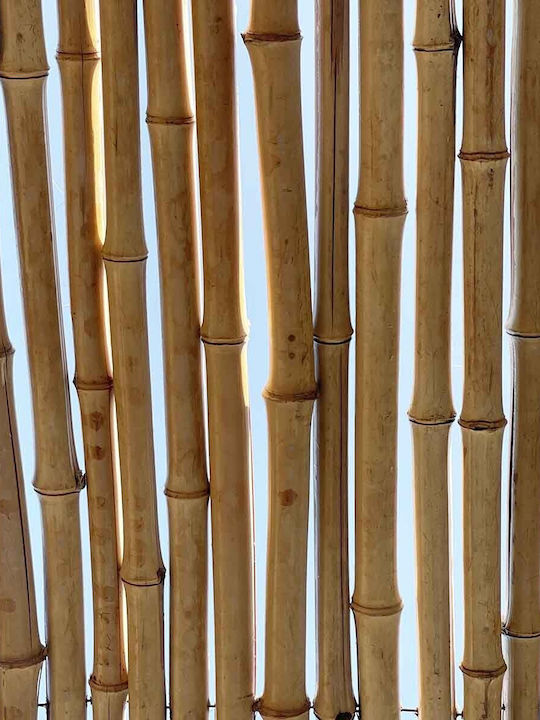 Showood Bamboo Fencing Bamboo with Whole Wood 1x2.5m