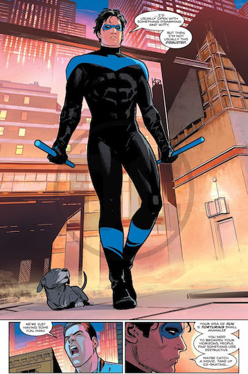 Nightwing: Leaping into the Light, Vol. 1 HC