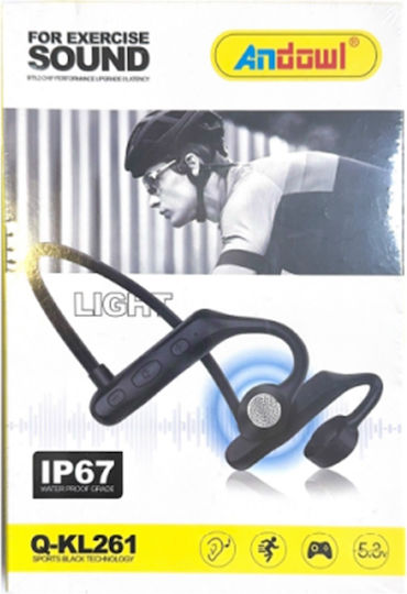 Andowl Q-KL261 Earbud Bluetooth хендсфри Слушалки Черен