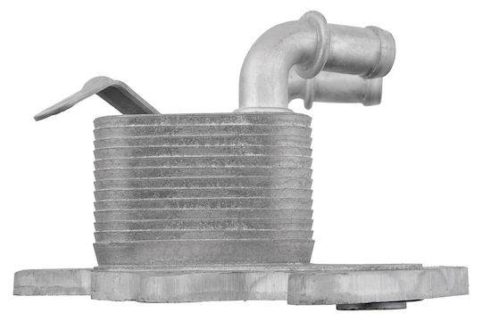 NTY Car Oil Radiator for Skoda Fabia / Rapid / Yeti Volkswagen Passat / Golf