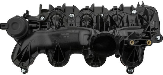 NTY Colector de admisie Piese pentru Motorul Mașinii pentru Fiat Ulysse Land Rover Freelander / Descoperire Sport / Range Rover / Range Rover Evoque Lancia Phedra