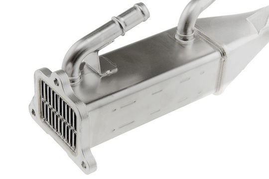 NTY Radiator EGR auto pentru Peugeot Boxer Citroen Pulover Ford Vânător / Tranzit Land Rover Apărător