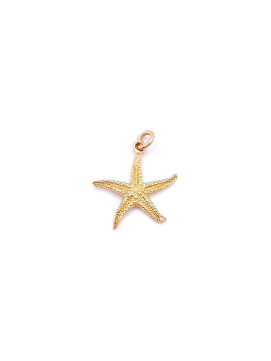 PS Silver Charm with design Star from Gold Plated Silver