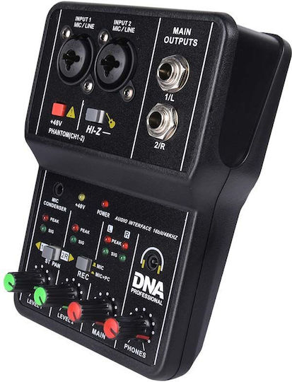 DNA 2-CHANNEL with 1 XLR Input