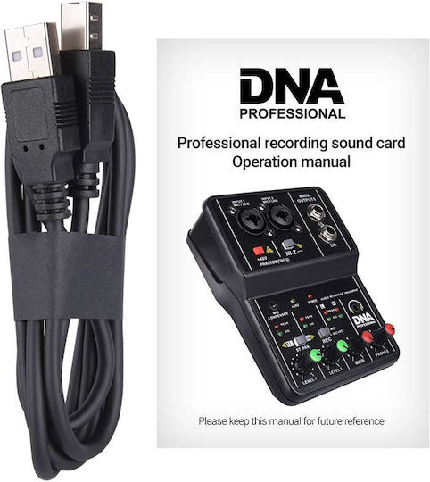 DNA 2-CHANNEL with 1 XLR Input