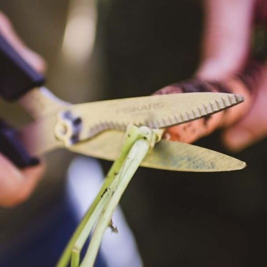 Fiskars Shears Ψαλίδι Βοτάνων από Ανοξείδωτο Ατσάλι 21cm