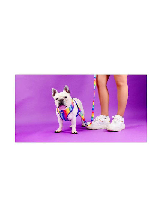 Dashi Нагръдник за куче Betty Лилав Small DNM00281