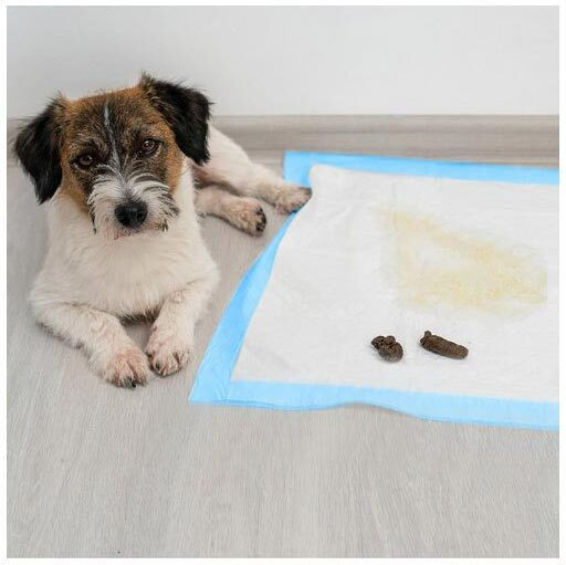 Purlov Dog Floor Diapers 60x60cm - 60cm 100pcs