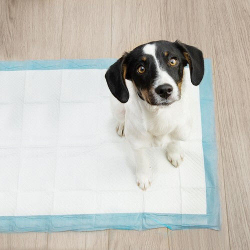 Purlov Dog Floor Diapers 60x40cm 100pcs