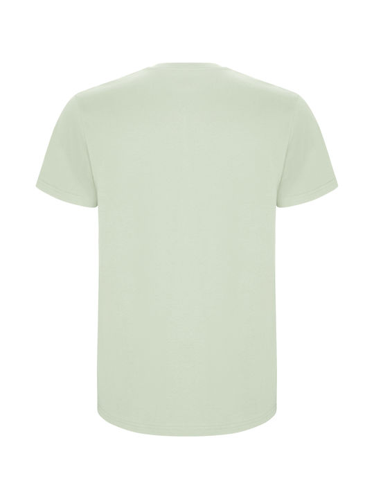 Roly Ανδρικό Διαφημιστικό T-shirt Κοντομάνικο σε Χρώμα