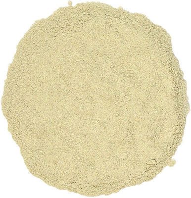 ΜΠΑΧΑΡΑΔΙΚΟ Salep Powder 500gr