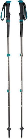 Black Diamond Wanderstock