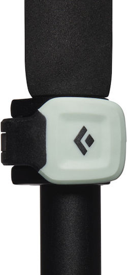 Black Diamond Wanderstock