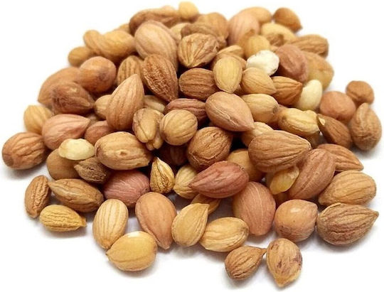 ΜΠΑΧΑΡΑΔΙΚΟ Μαχλέπι σε Σκόνη 300gr