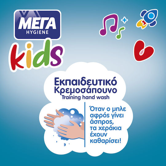 MEGA Hygiene Liquid Soap with Pump 250ml