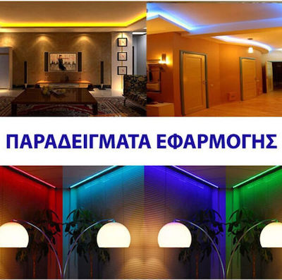Eurolamp Bandă LED Alimentare 24V cu Lumină Verde Lungime 5m și 480 LED-uri pe Metru