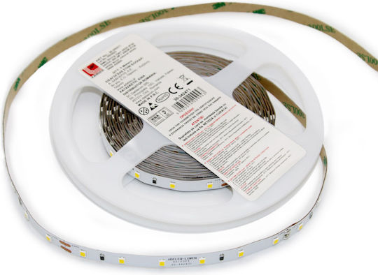 Adeleq LED Strip 24V Natural White Light 5m Type SMD2835