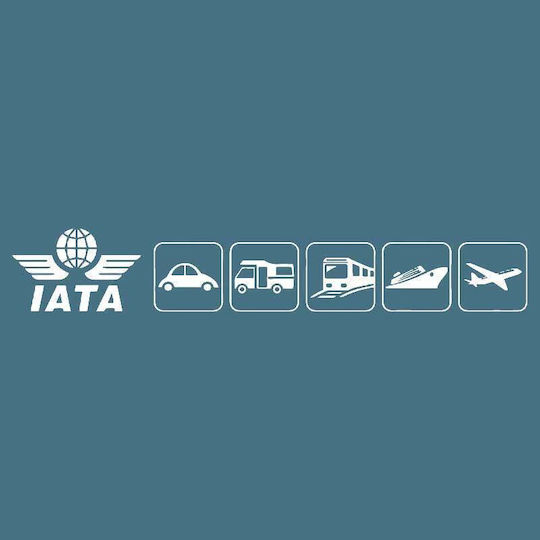 IATA 5 Gray Dog Transport Cage 81x57x65cm