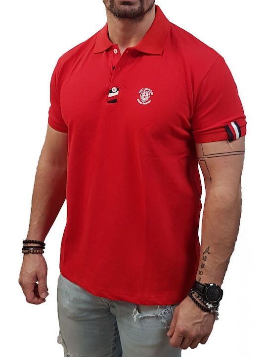 Mrt Martini