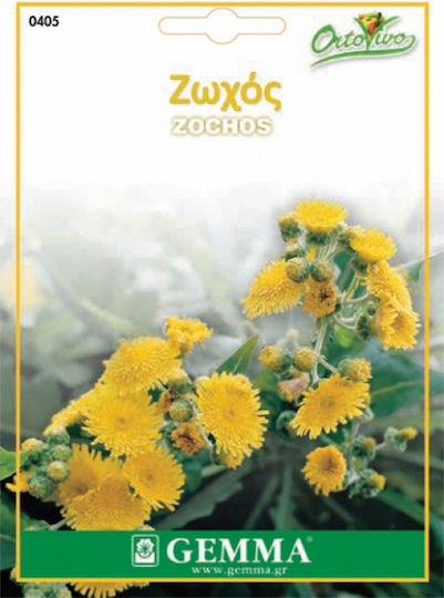Gemma Seeds Sonchus 0.03gr