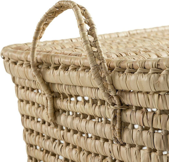 La Redoute Interieurs Wooden Decorative Trunk Beige 40x42x40cm