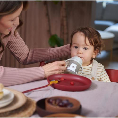Lovi Baby Παιδικό Σετ Φαγητοδοχείου Tamarillo 2τμχ Κόκκινο