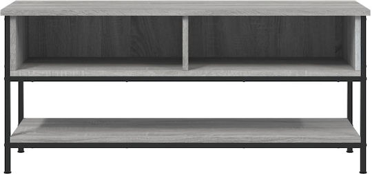 vidaXL TV-Ständer Grau M100xP35xH45cm
