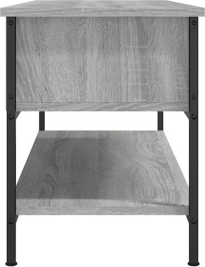 vidaXL TV-Ständer Grau M100xP35xH45cm