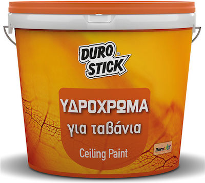 Durostick Πλαστικό Υδρόχρωμα για Εσωτερική Χρήση 3lt