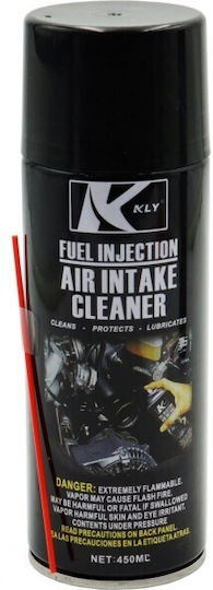 KLY Motorreinigungsspray 450ml 1Stück