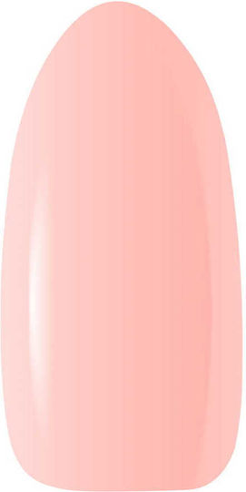 Claresa French Time 6 Gel Nail Polish 6 5ml